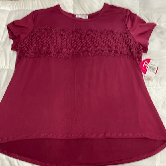 Knit Works Girls Plus Deep Red Fun Short Sleeve Top - 20 1/2 Plus - Picture 1 of 4